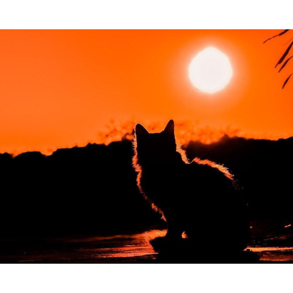 DIY Paint by Number kit for Adults on Canvas-Autumn Cat-Clean PBN