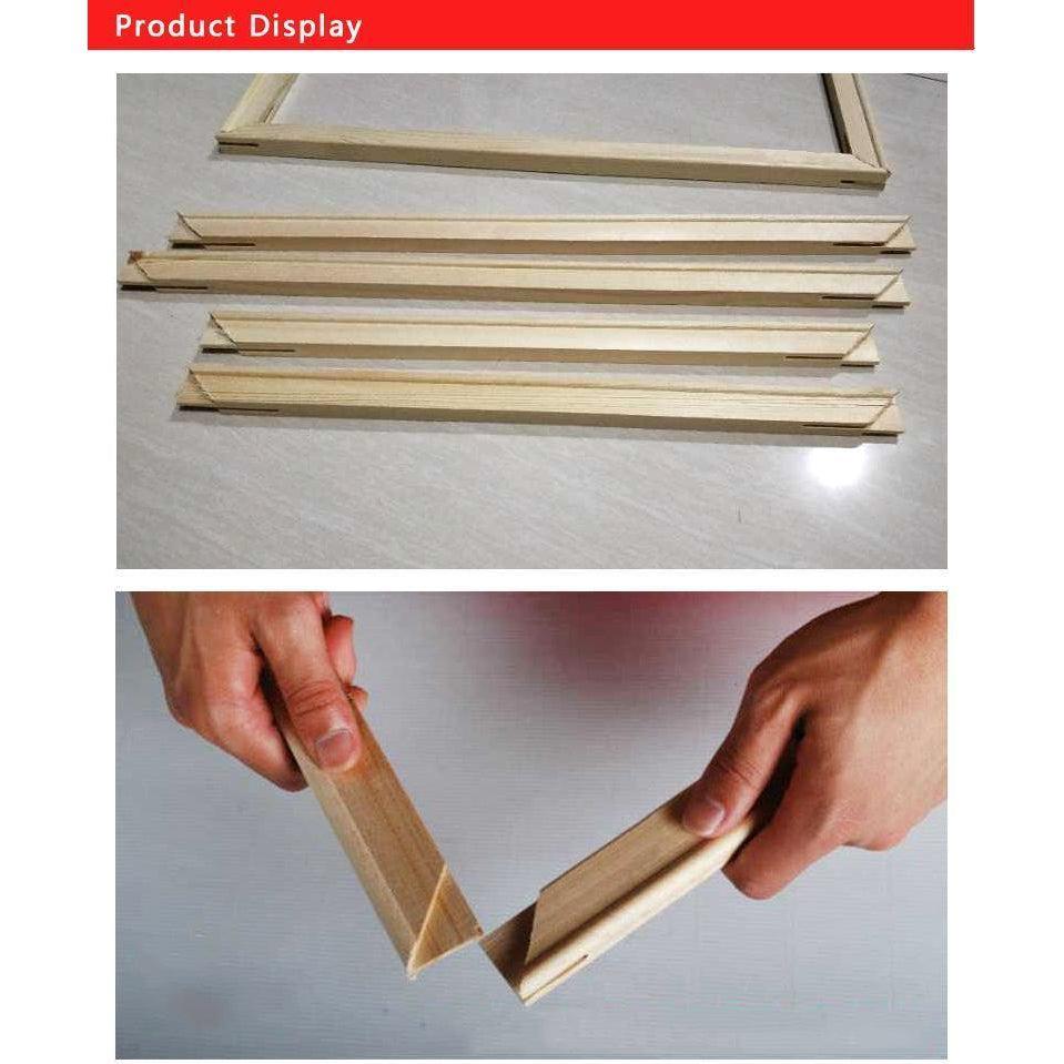 DIY Paint by Number kit for Adults on Canvas-DIY Frame Kit (Stretcher bars)-