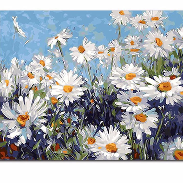 DIY Paint by Number kit for Adults on Canvas-Field of Daisies-40x50cm (16x20inches)