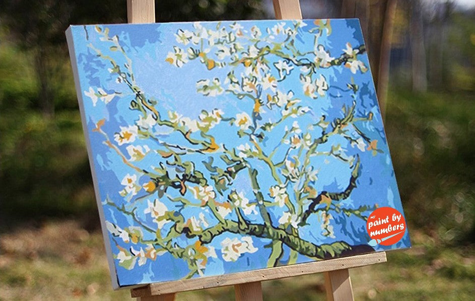 Paint by Numbers for Adults