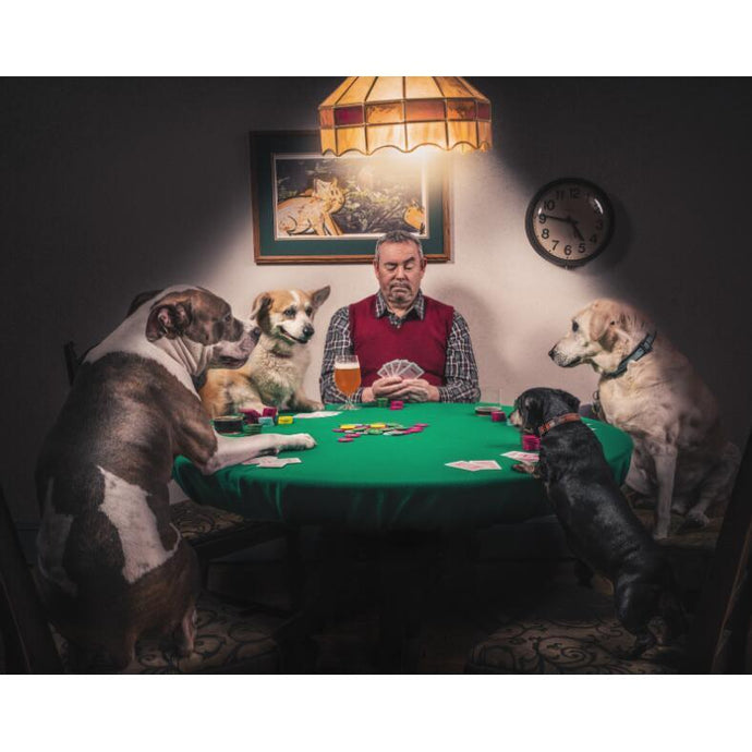DIY Paint by Number kit for Adults on CanvasDogs Playing Poker