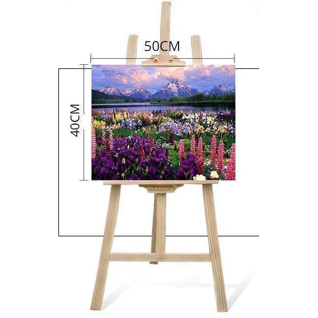 DIY Paint by Number kit for Adults on Canvas-Grand Teton-40x50cm (16x20inches)