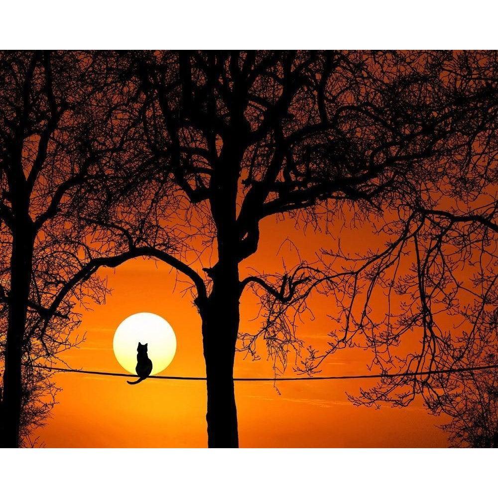 DIY Paint by Number kit for Adults on Canvas-Halloween Cat-Clean PBN