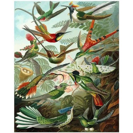 DIY Paint by Number kit for Adults on Canvas-Hummingbirds - Ernst Haeckel - 1904-Painting &amp; Calligraphy
