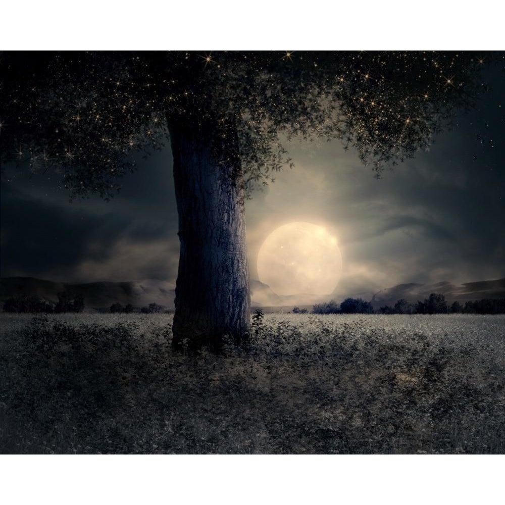 DIY Paint by Number kit for Adults on Canvas-Moonlit Tree-Clean PBN
