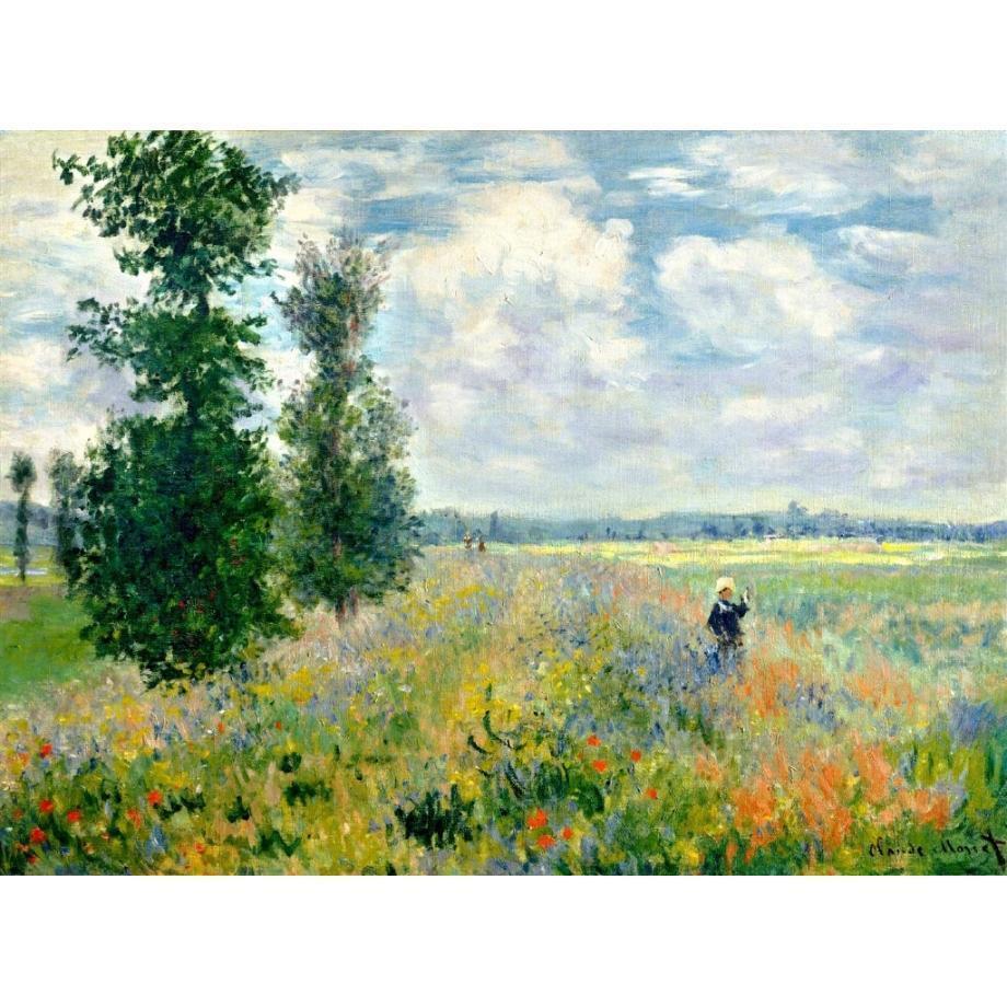 DIY Paint by Number kit for Adults on Canvas-Poppy Fields near Argenteuil - Claude Monet-Clean PBN