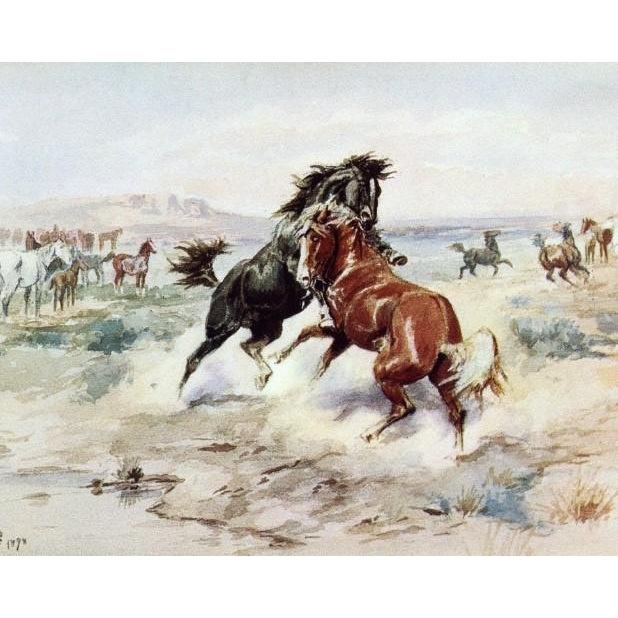 DIY Paint by Number kit for Adults on Canvas-The Challenge 2 - Charles Marion Russell -1898-Home